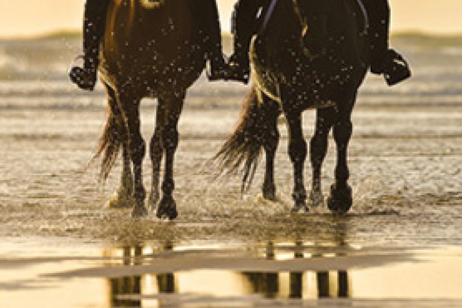 Reiten am Meer